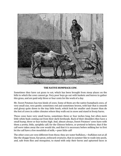 Mr. Sweet Potatoes and Other Stories by Anonymous FN Library Online